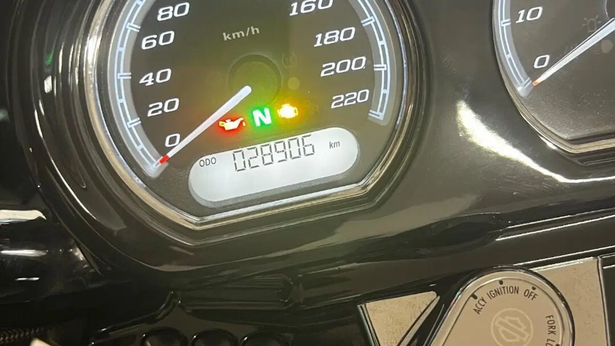 Harley-Davidson 114 Road Glide Ultra (2019) - FLTRXU  (7)