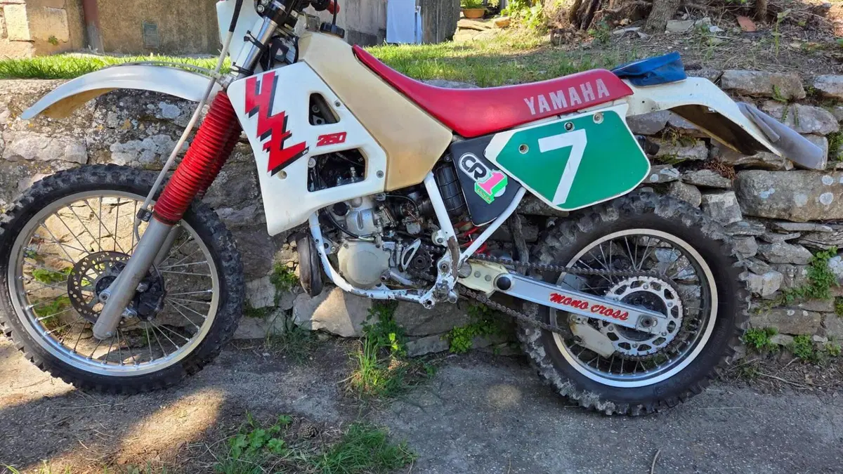 Yamaha YZ 250  (2)