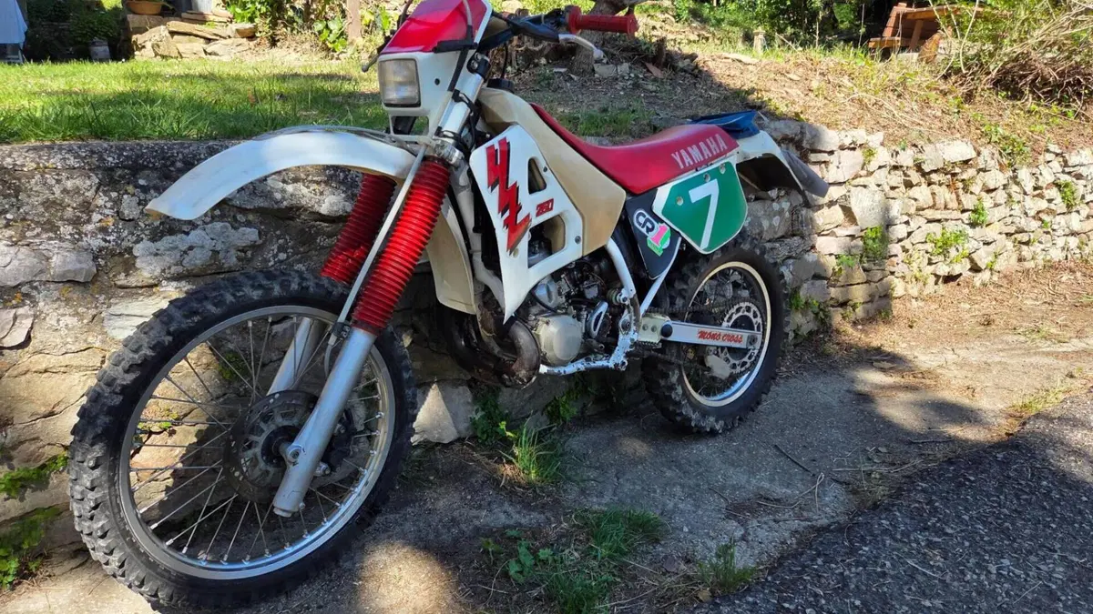 Yamaha YZ 250  (3)