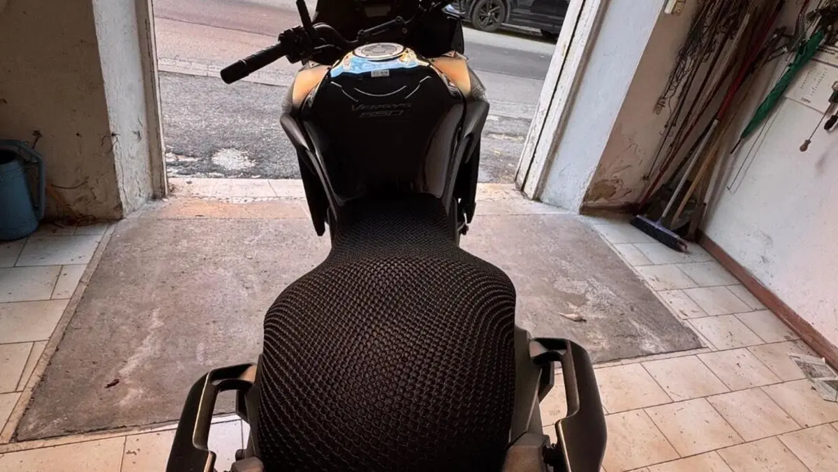 Kawasaki Versys 650 (2017 - 20)  (5)