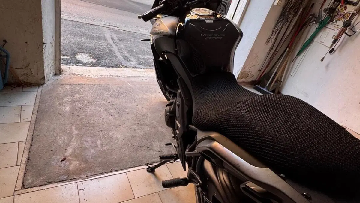 Kawasaki Versys 650 (2017 - 20)  (6)