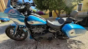 Harley-Davidson 114 Low Rider S (2021) - FXLRS  (3)