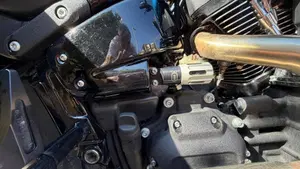 Harley-Davidson 114 Low Rider S (2021) - FXLRS  (7)