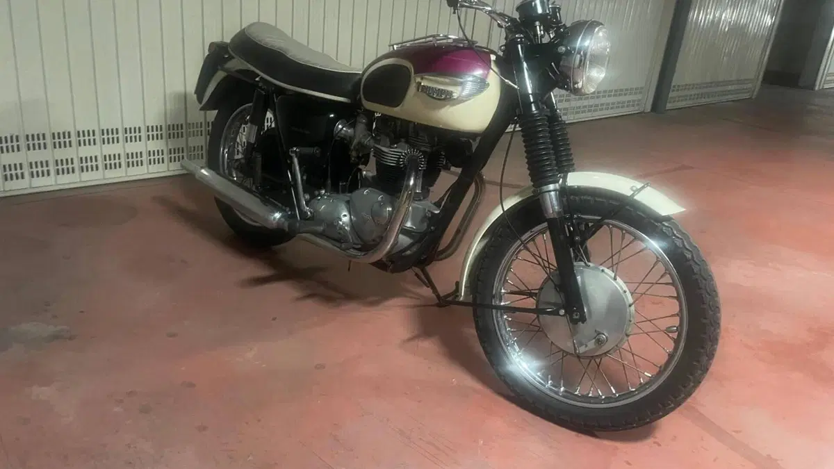 Triumph  