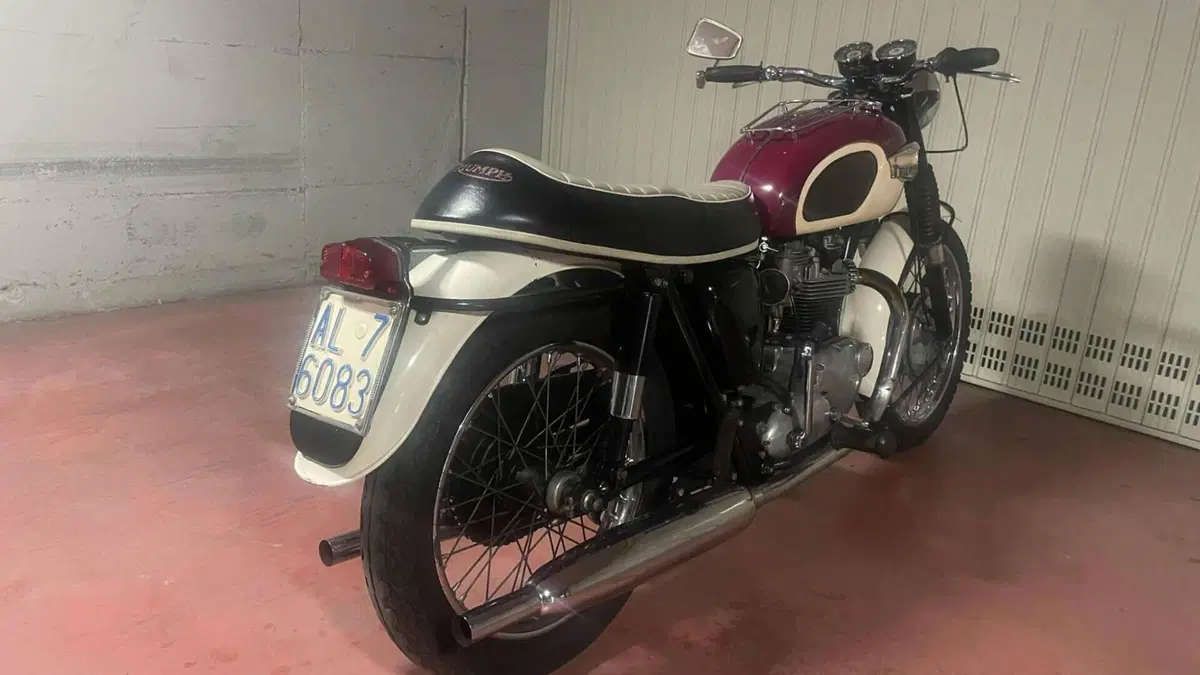 Triumph   (2)