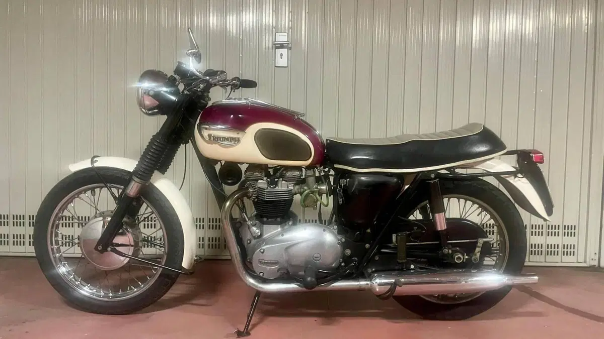 Triumph   (3)