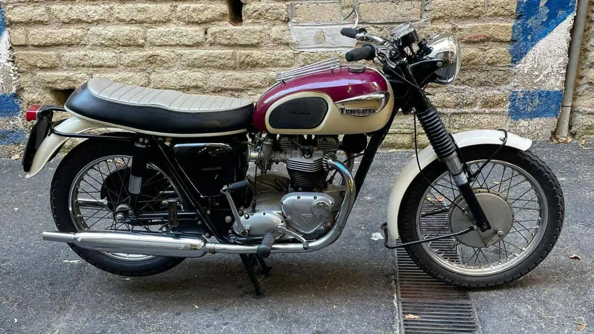 Triumph   (4)