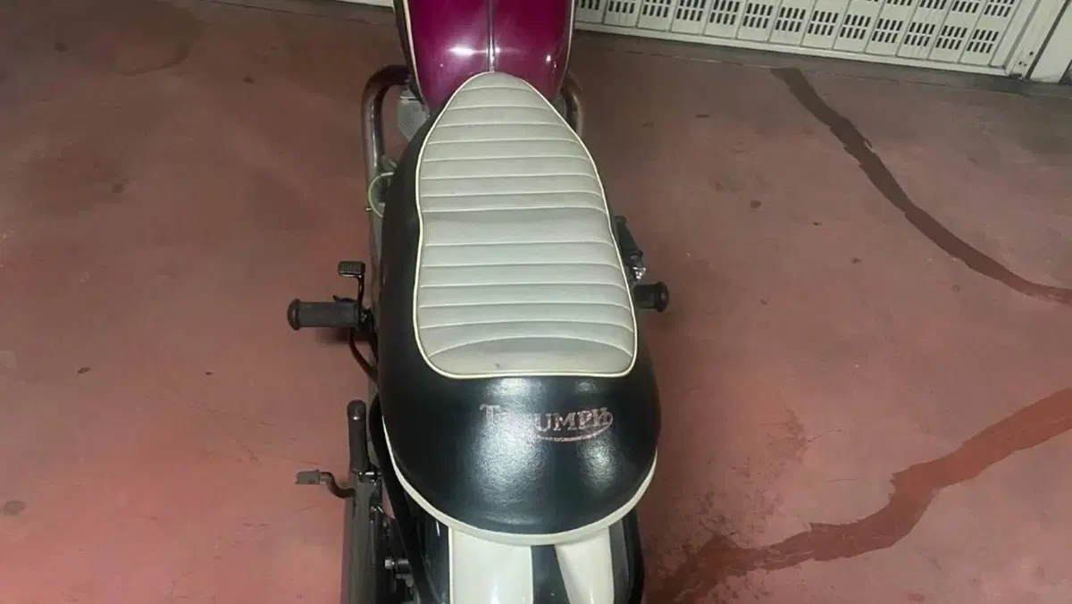 Triumph   (5)