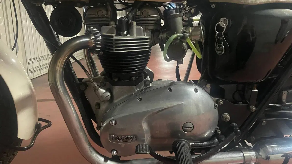 Triumph   (6)