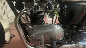 Triumph   (6)