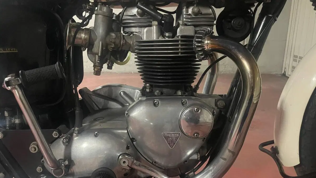 Triumph   (7)
