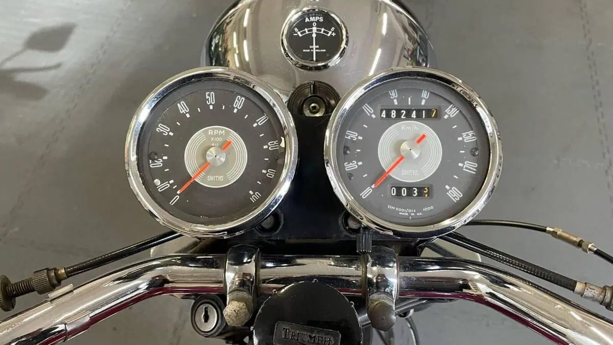 Triumph   (8)