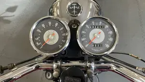 Triumph   (8)