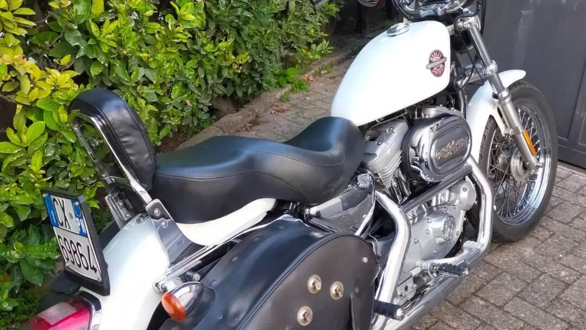 Harley-Davidson 883 Standard (2001 - 05) - XL 883  (2)
