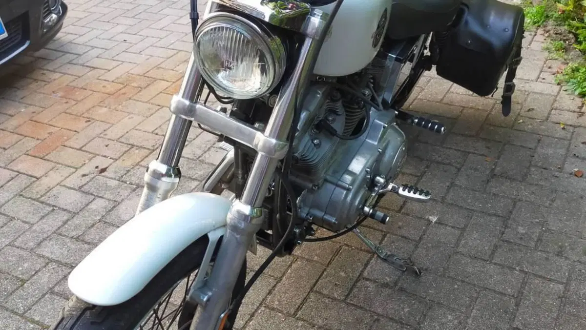 Harley-Davidson 883 Standard (2001 - 05) - XL 883  (3)