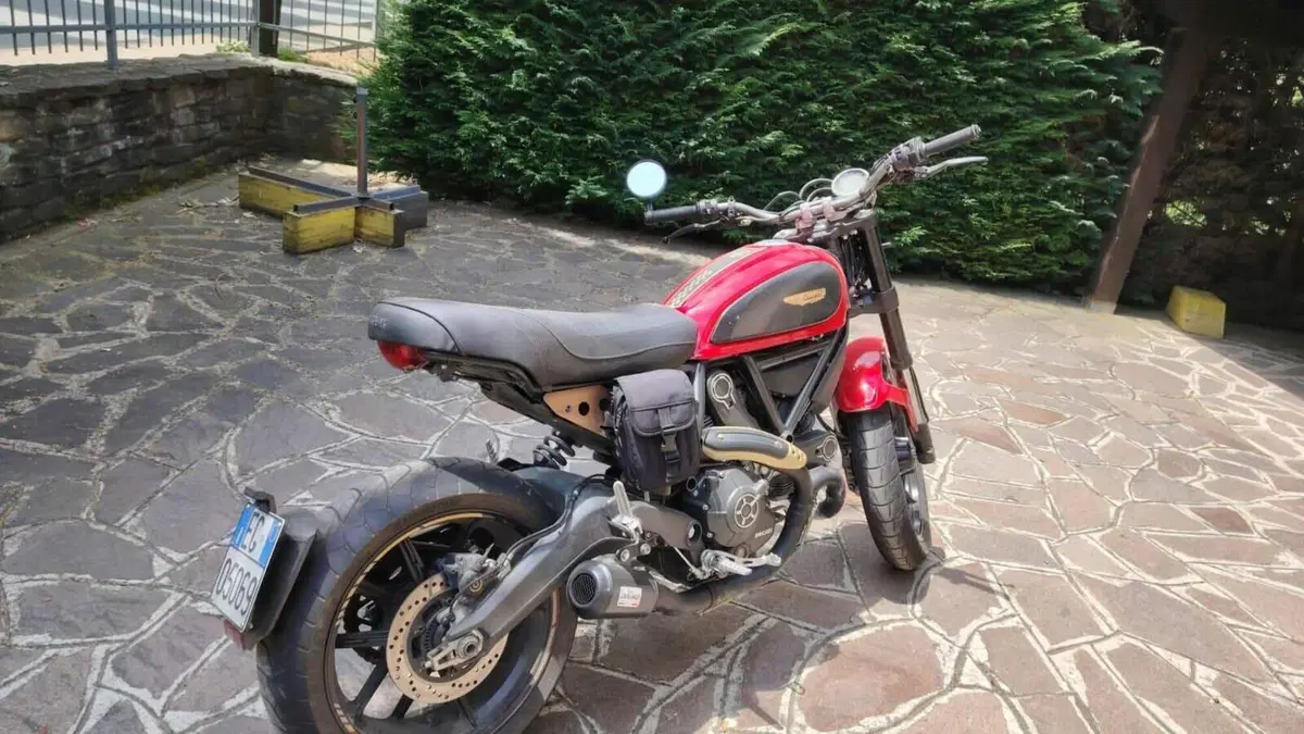 Ducati Scrambler 800 Icon (2015 - 16)  (5)