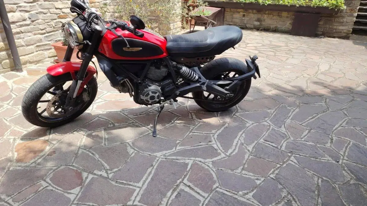 Ducati Scrambler 800 Icon (2015 - 16)  (6)