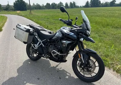 Triumph Tiger 900 GT Pro (2020 - 23) - Annuncio 10040952