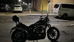 Harley-Davidson 883 Iron (2017 - 20) - XL 883N  (5)