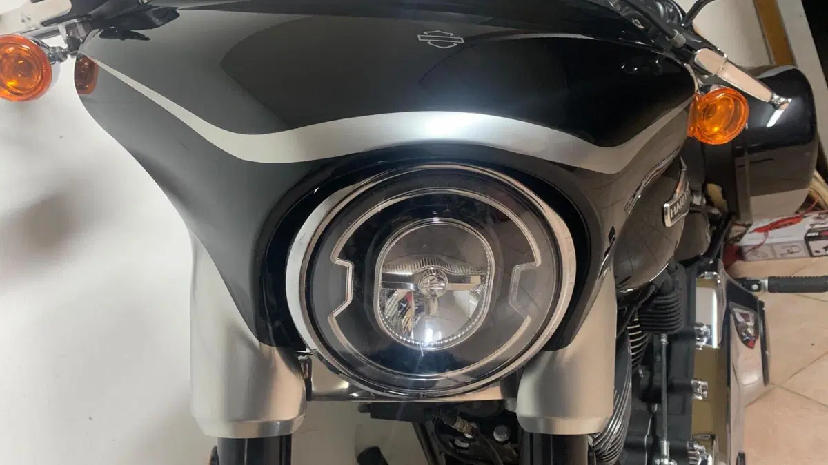 Harley-Davidson 107 Sport Glide (2018 - 20)  (4)