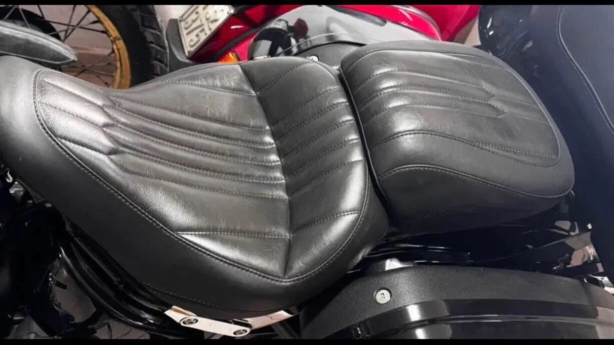Harley-Davidson 107 Sport Glide (2018 - 20)  (6)