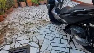 Honda Forza 300 Deluxe ABS (2018 - 20)  (2)