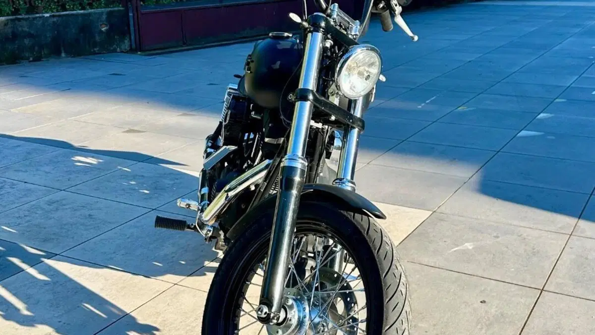 Harley-Davidson 1584 Street Bob (2008 - 15) - FXDB  (5)