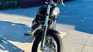 Harley-Davidson 1584 Street Bob (2008 - 15) - FXDB  (5)