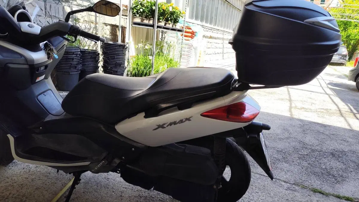 Yamaha X-Max 250 (2010 - 13)  (4)