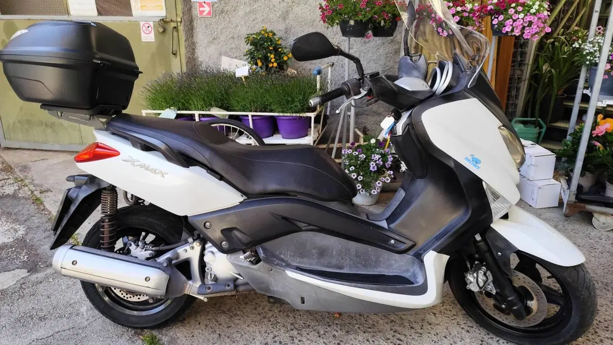 Yamaha X-Max 250 (2010 - 13)  (7)