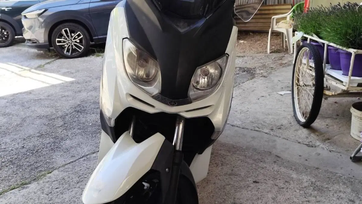 Yamaha X-Max 250 (2010 - 13)  (8)