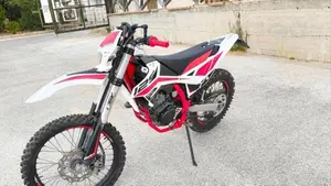 Betamotor RR 125 4T Enduro LC (2018 - 20)  (4)