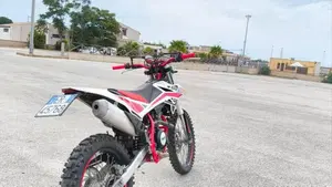 Betamotor RR 125 4T Enduro LC (2018 - 20)  (7)