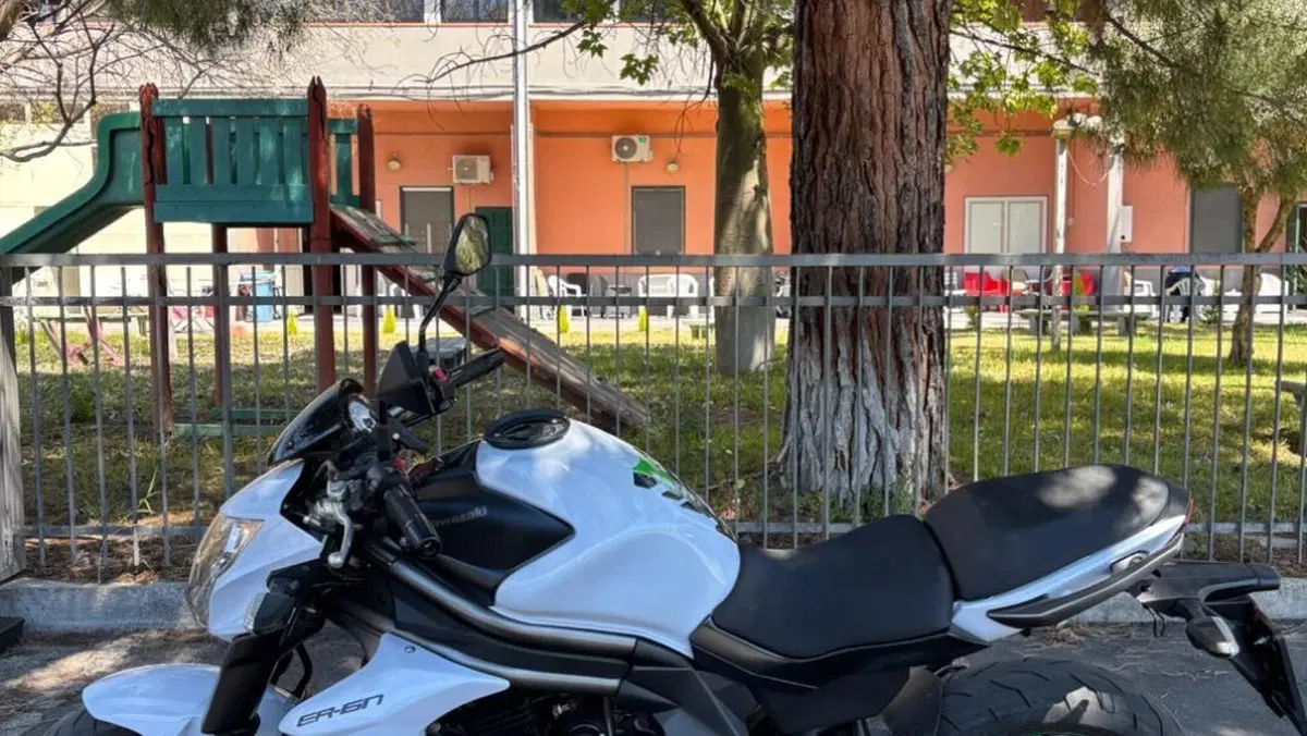 Kawasaki ER-6N (2012 - 13) 