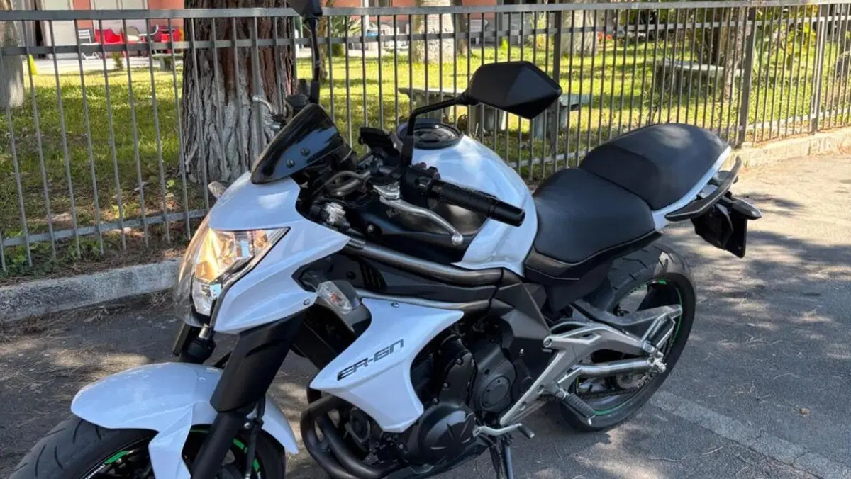 Kawasaki ER-6N (2012 - 13)  (2)