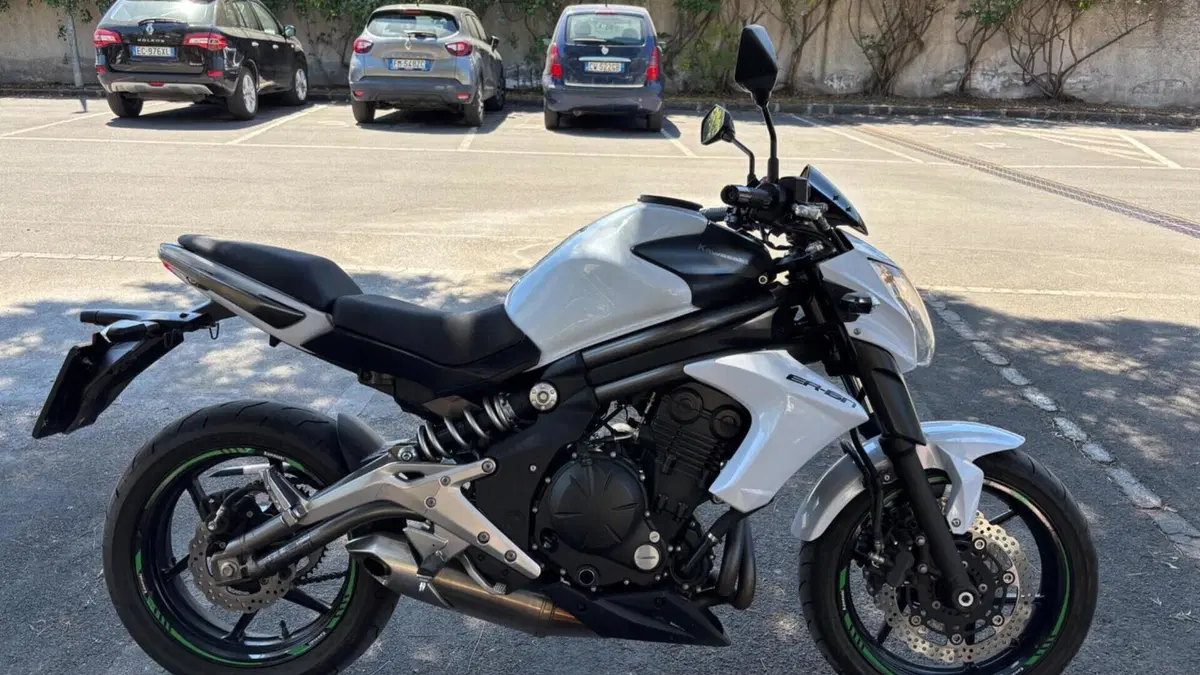 Kawasaki ER-6N (2012 - 13)  (3)