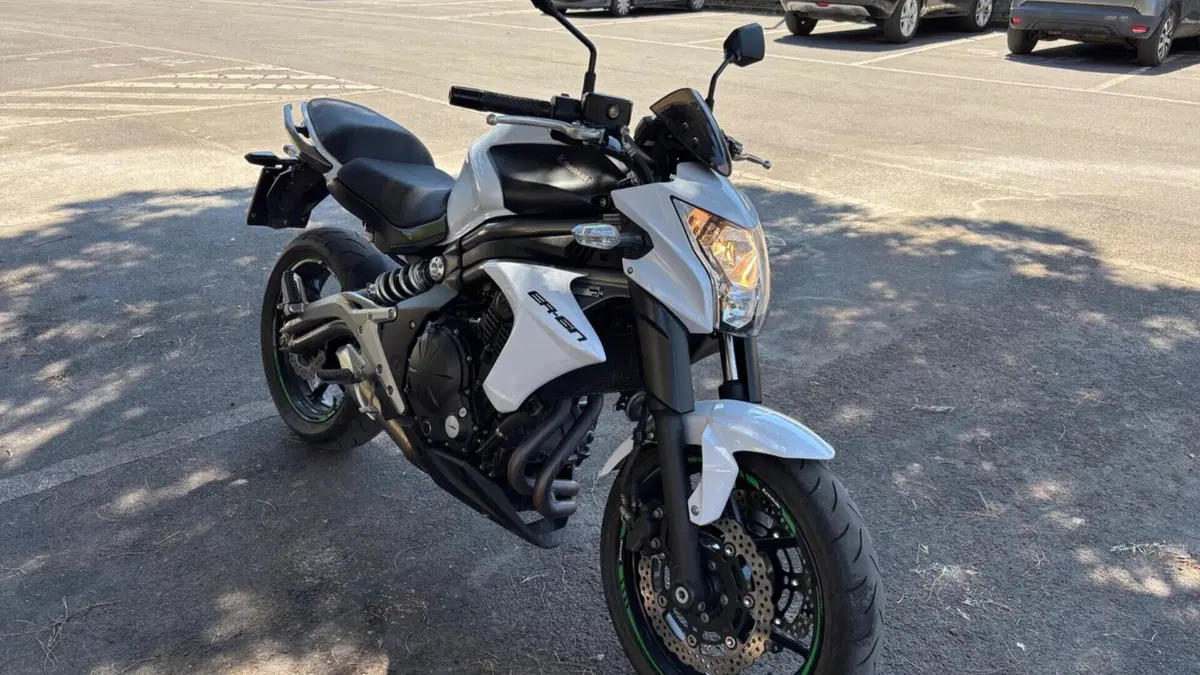 Kawasaki ER-6N (2012 - 13)  (4)
