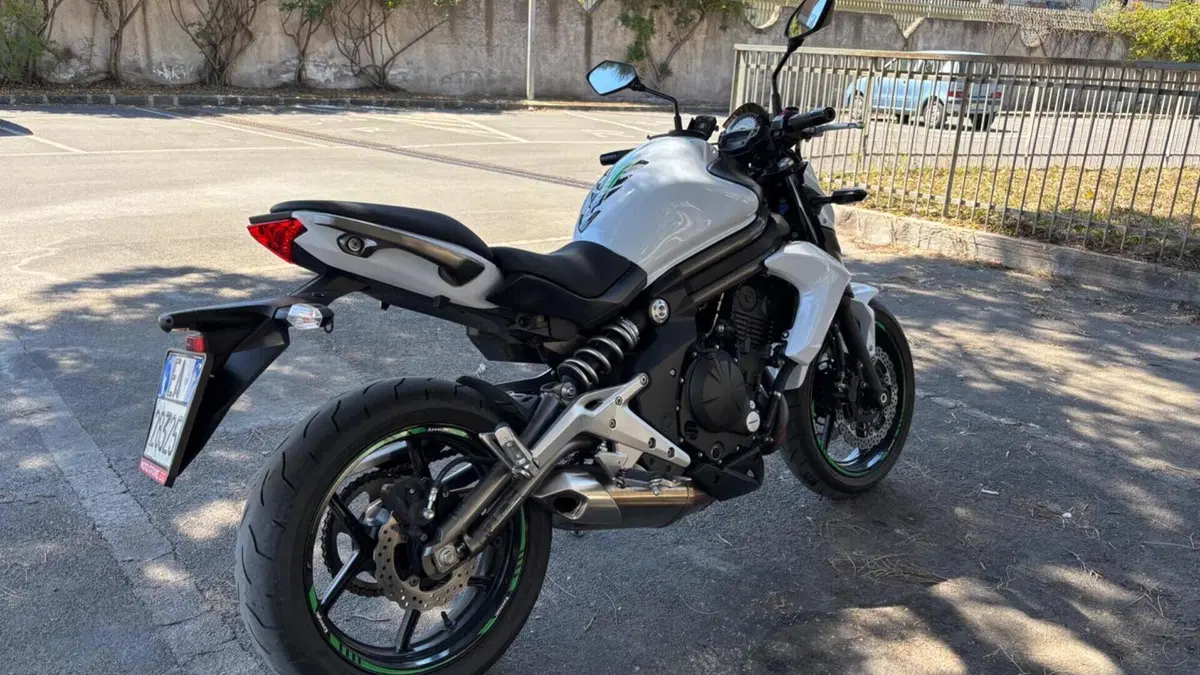 Kawasaki ER-6N (2012 - 13)  (5)