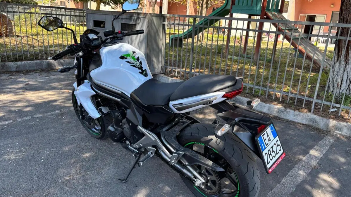 Kawasaki ER-6N (2012 - 13)  (6)