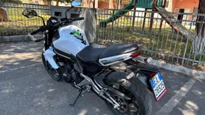Kawasaki ER-6N (2012 - 13)  (6)