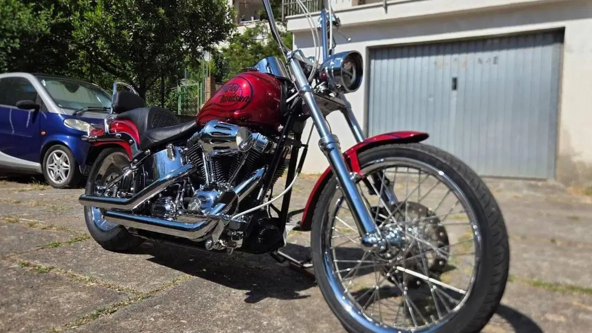 Harley-Davidson 1584 Custom (2008 - 09) - FXSTC 