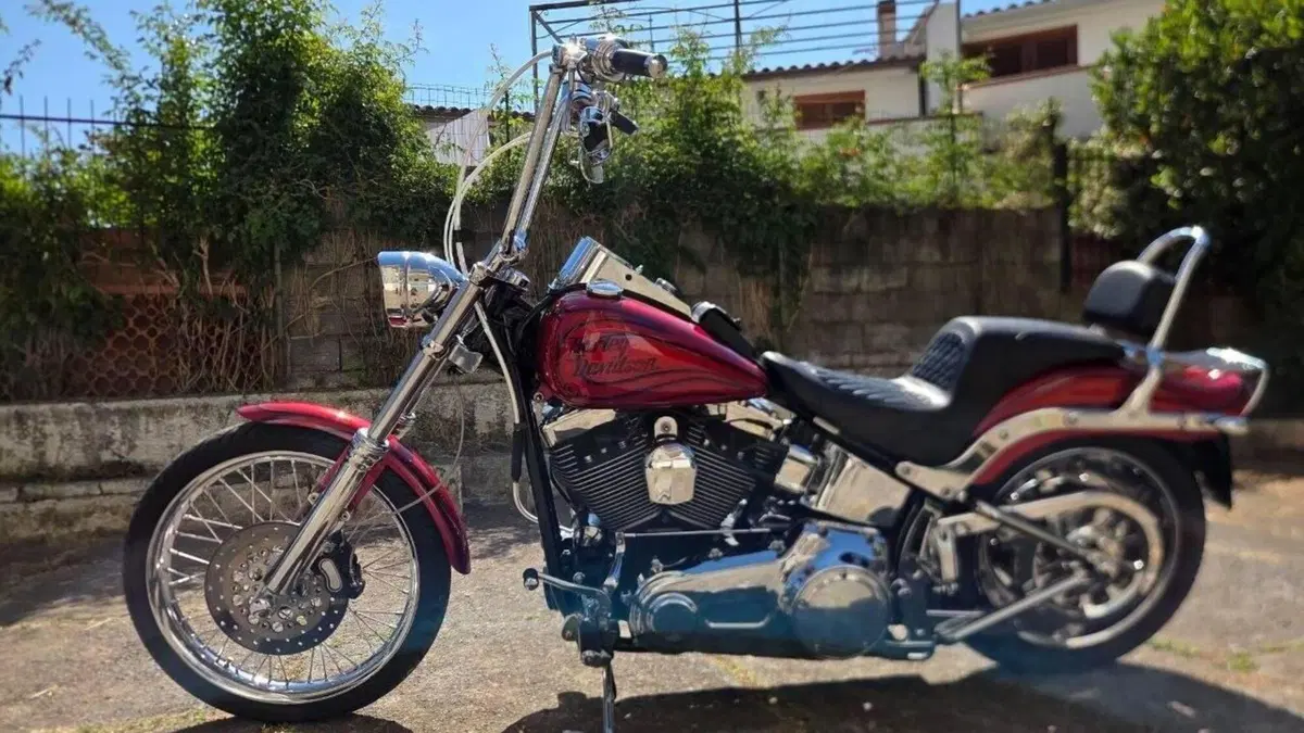 Harley-Davidson 1584 Custom (2008 - 09) - FXSTC  (2)
