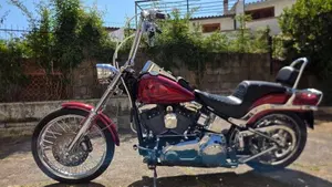 Harley-Davidson 1584 Custom (2008 - 09) - FXSTC  (2)