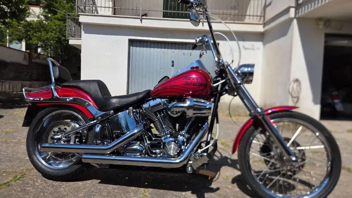 Harley-Davidson 1584 Custom (2008 - 09) - FXSTC  (3)
