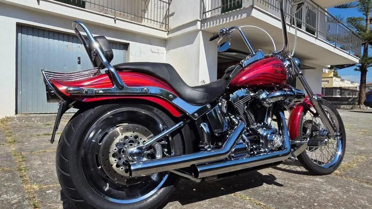 Harley-Davidson 1584 Custom (2008 - 09) - FXSTC  (4)
