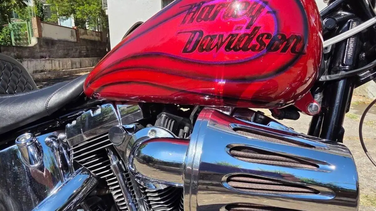 Harley-Davidson 1584 Custom (2008 - 09) - FXSTC  (6)
