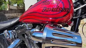 Harley-Davidson 1584 Custom (2008 - 09) - FXSTC  (6)