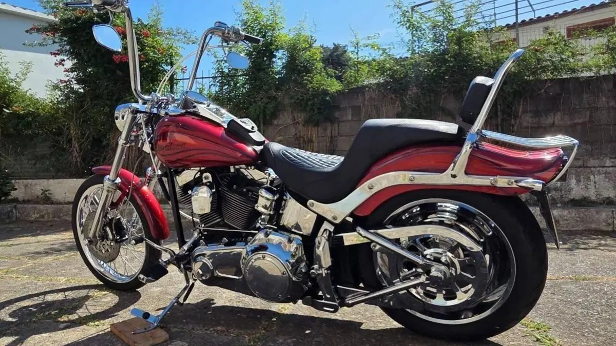 Harley-Davidson 1584 Custom (2008 - 09) - FXSTC  (7)