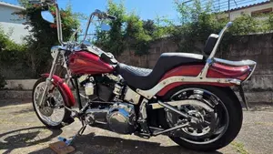 Harley-Davidson 1584 Custom (2008 - 09) - FXSTC  (7)