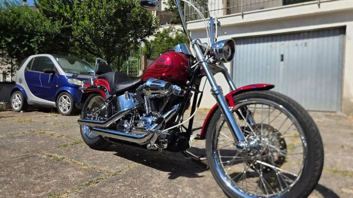 Harley-Davidson 1584 Custom (2008 - 09) - FXSTC  (8)